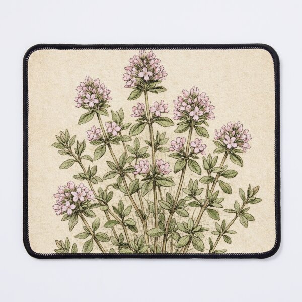 Item preview, Vintage Thyme Botanical Print – Thymus Vulgaris Antique Herb Illustration designed and sold by Darlin8888.