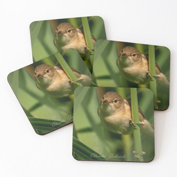 Item preview, Little reed warbler designed and sold by cgnature1983.