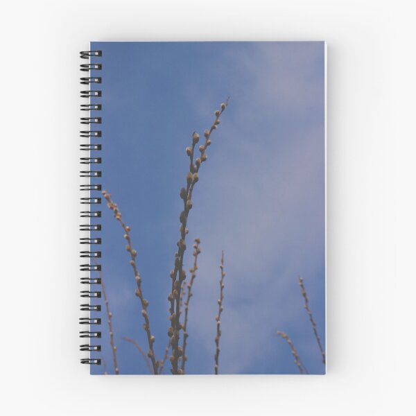 Item preview, Spring Pussy Willow Twigs against Blue Sky Macro designed and sold by vikko-art.