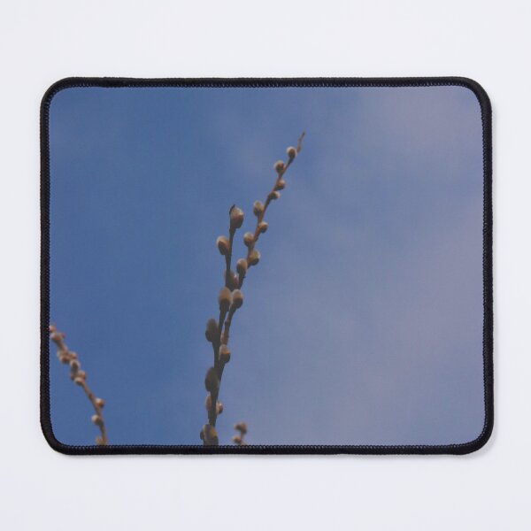 Item preview, Spring Pussy Willow Twigs against Blue Sky Macro designed and sold by vikko-art.