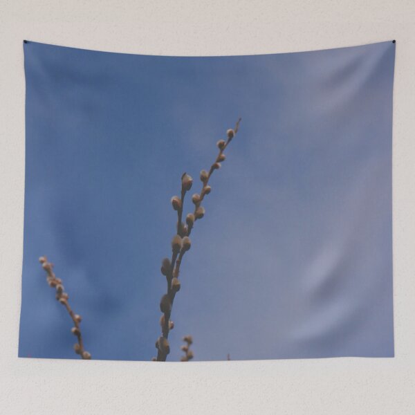 Item preview, Spring Pussy Willow Twigs against Blue Sky Macro designed and sold by vikko-art.