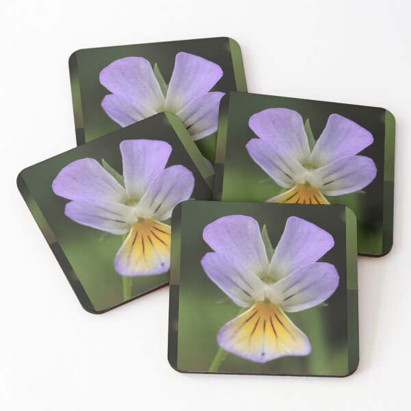 Item preview, Purple and Yellow Wild Pansy Flower Macro Photography designed and sold by vikko-art.