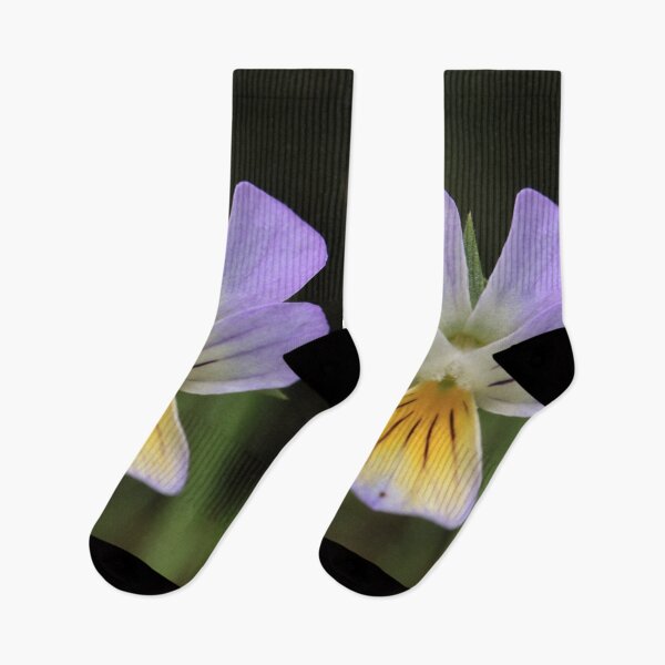 Item preview, Purple and Yellow Wild Pansy Flower Macro Photography designed and sold by vikko-art.
