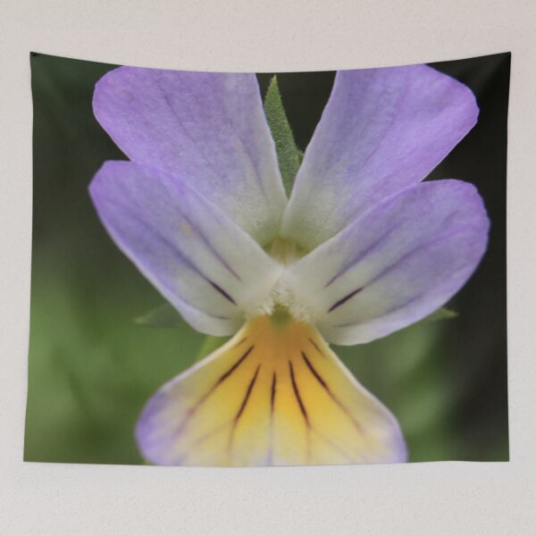 Item preview, Purple and Yellow Wild Pansy Flower Macro Photography designed and sold by vikko-art.