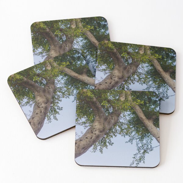Item preview, Tall Tree Trunk With Green Foliage Against a Clear Blue Sky designed and sold by Nmallia.