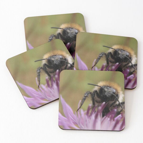 Item preview, Bumblebee on Purple Flower Macro with Pollen Details designed and sold by vikko-art.