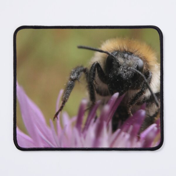 Item preview, Bumblebee on Purple Flower Macro with Pollen Details designed and sold by vikko-art.