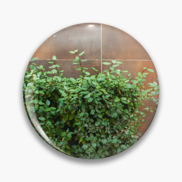 Item preview, Green Bush in Rusty Planter Against Brown Tile Wall for Urban Garden and Outdoor Decor designed and sold by Nmallia.
