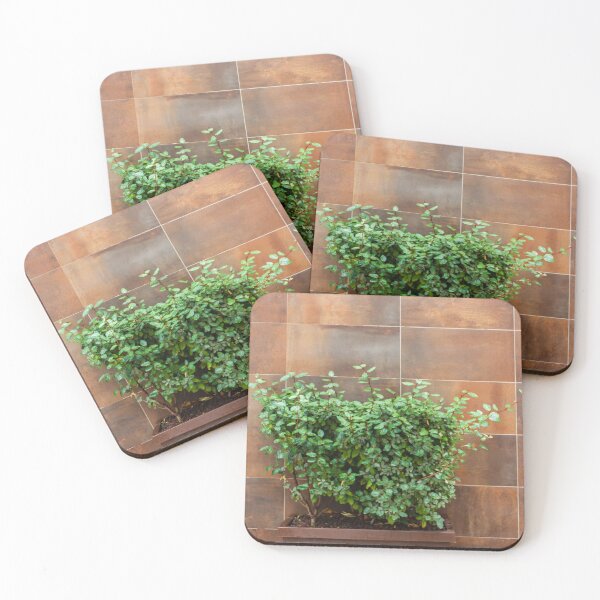 Item preview, Green Bush in Rusty Planter Against Brown Tile Wall for Urban Garden and Outdoor Decor designed and sold by Nmallia.