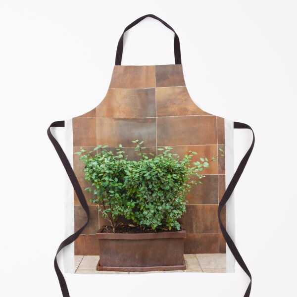 Item preview, Green Bush in Rusty Planter Against Brown Tile Wall for Urban Garden and Outdoor Decor designed and sold by Nmallia.