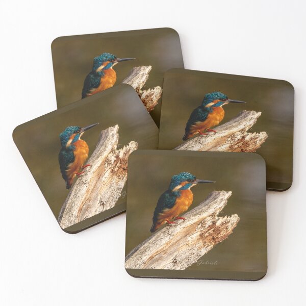 Item preview, Kingfisher designed and sold by cgnature1983.