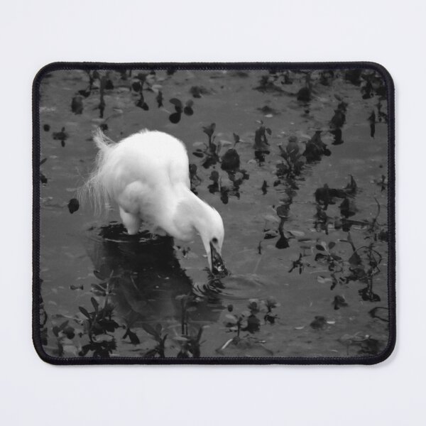 Item preview, Snowy Egret in Shallow Water designed and sold by MercerImages.