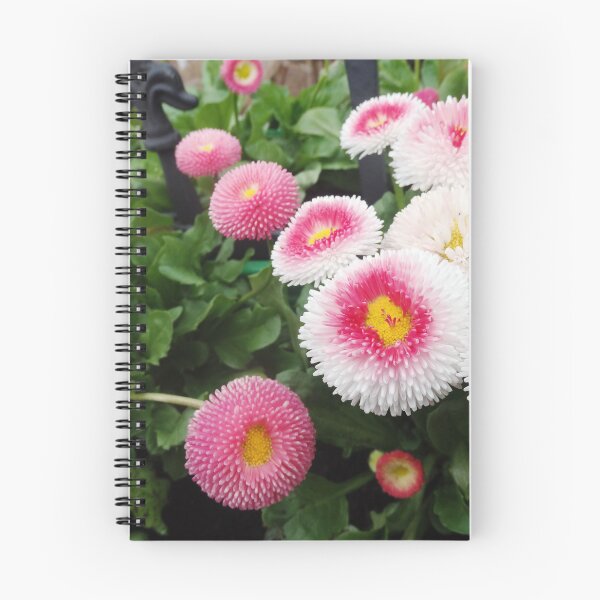 Item preview, Daisies designed and sold by Betulek.