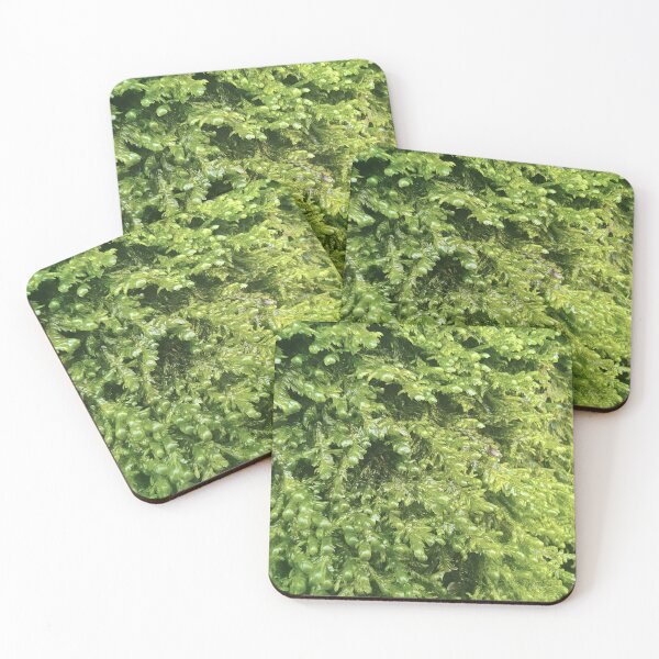 Item preview, Moss Texture Green Nature  designed and sold by NatureHome11.