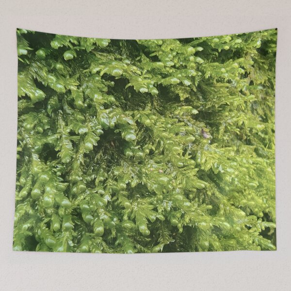 Item preview, Moss Texture Green Nature  designed and sold by NatureHome11.