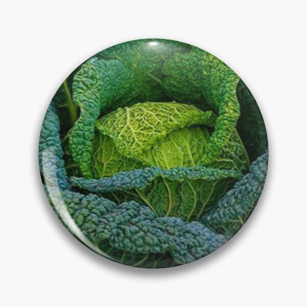 Item preview, CABBAGE  designed and sold by Imaan-Store.