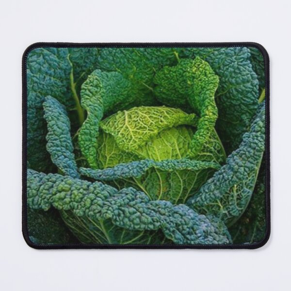Item preview, CABBAGE  designed and sold by Imaan-Store.