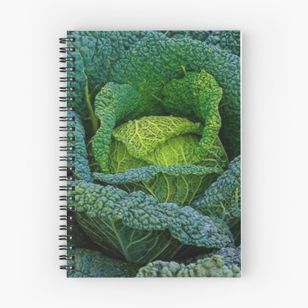 Item preview, CABBAGE  designed and sold by Imaan-Store.