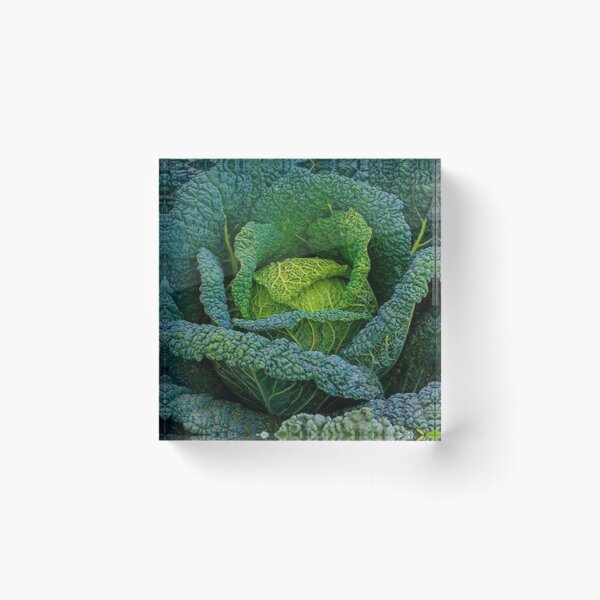 Item preview, CABBAGE  designed and sold by Imaan-Store.
