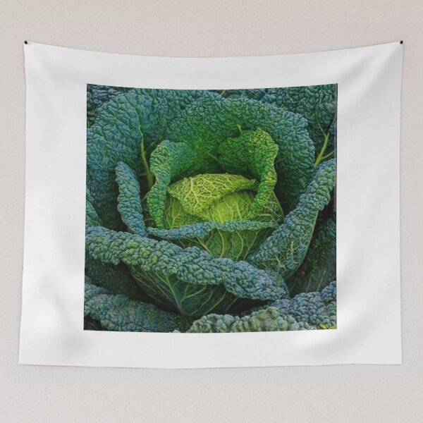 Item preview, CABBAGE  designed and sold by Imaan-Store.