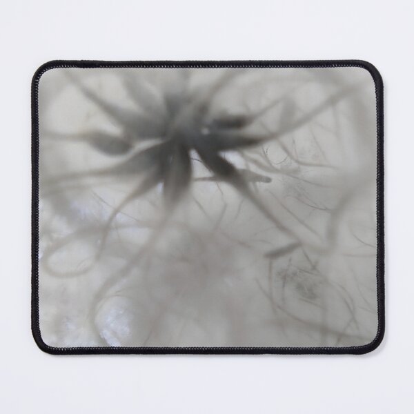 Item preview, White Clematis Macro Seed Head Botanical Nature Art designed and sold by NatureHome11.
