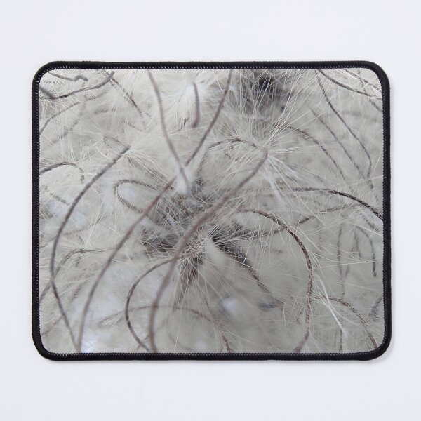 Item preview, Grey Clematis Macro Seed Head Botanical Nature Art designed and sold by NatureHome11.