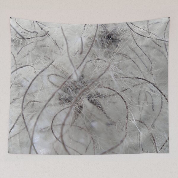 Item preview, Grey Clematis Macro Seed Head Botanical Nature Art designed and sold by NatureHome11.