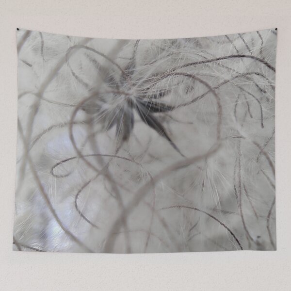 Item preview, Clematis Macro Seed Head Botanical Nature Art designed and sold by NatureHome11.