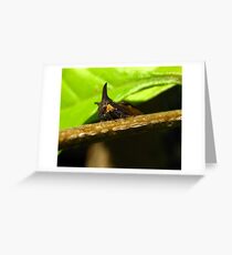 Horned Treehopper Greeting Card