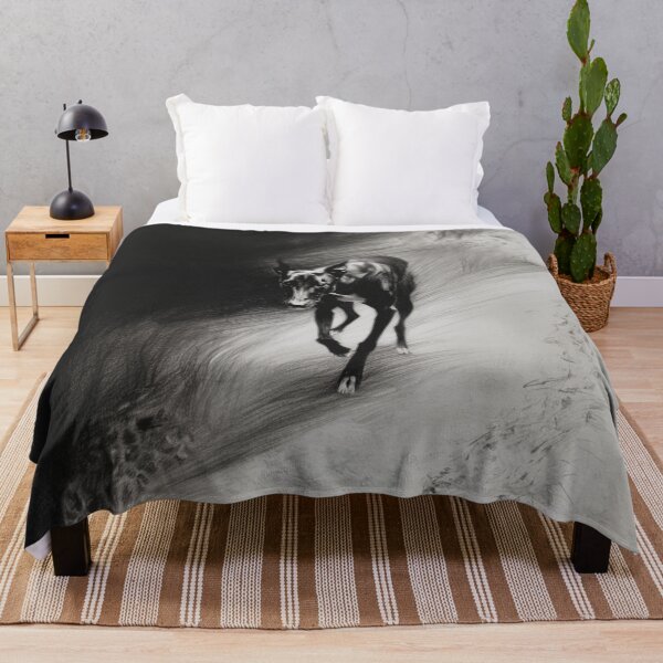 Item preview, A stalking Greyhound captured in mid-motion, Dogs in Motion designed and sold by CDC40.