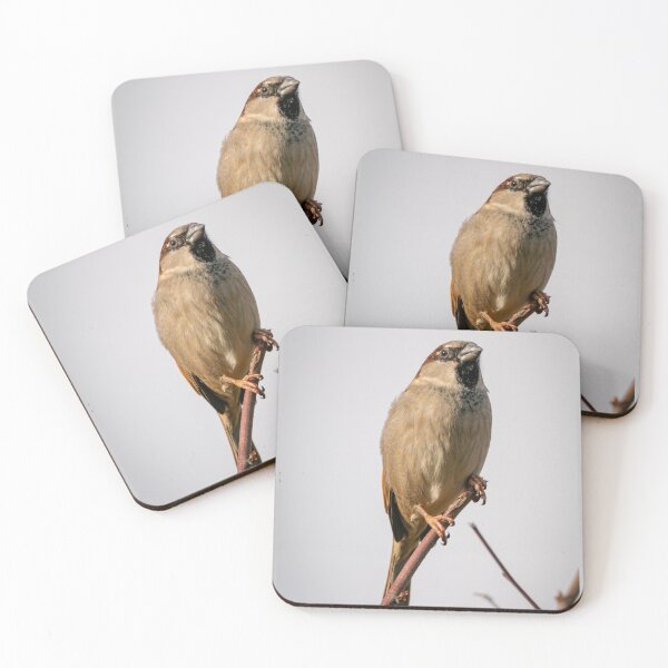 Item preview, Sparrow designed and sold by cgnature1983.