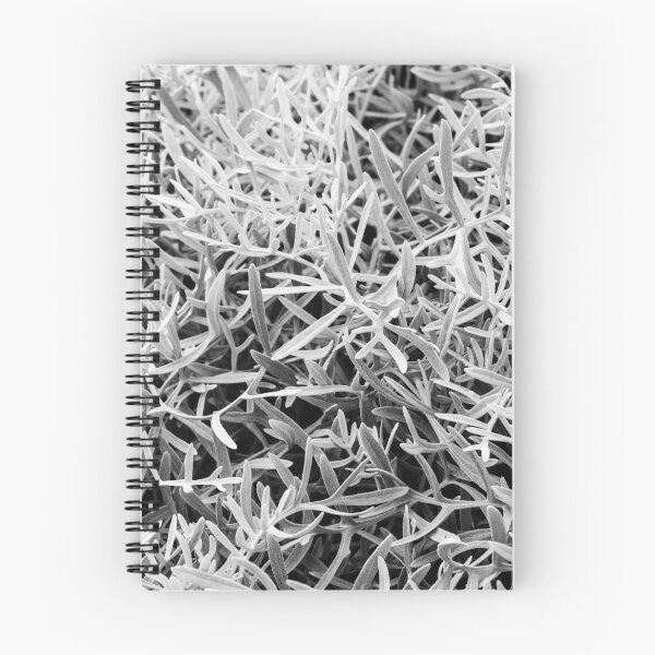 Item preview, Close-Up Of Craggy Moss And Dried Shrub On Rock Ledge In Monochrome Texture designed and sold by Nmallia.