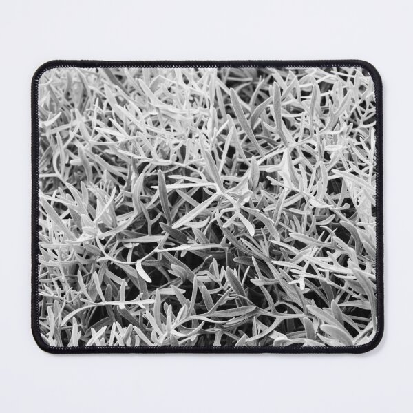 Item preview, Close-Up Of Craggy Moss And Dried Shrub On Rock Ledge In Monochrome Texture designed and sold by Nmallia.
