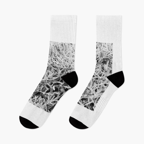 Item preview, Close-Up Of Craggy Moss And Dried Shrub On Rock Ledge In Monochrome Texture designed and sold by Nmallia.