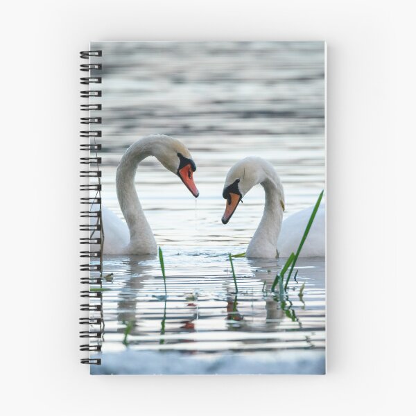 Item preview, Swans designed and sold by cgnature1983.