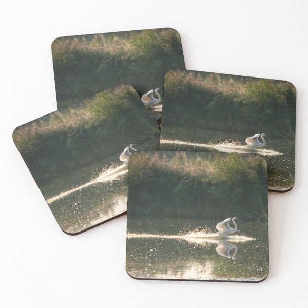 Item preview, Cisne aterrizando designed and sold by cgnature1983.