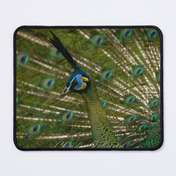 Item preview, Peacock designed and sold by cgnature1983.