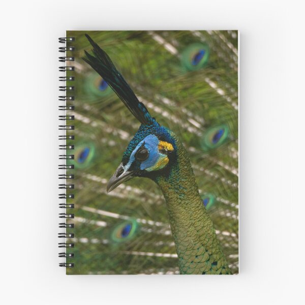 Item preview, Peacock designed and sold by cgnature1983.
