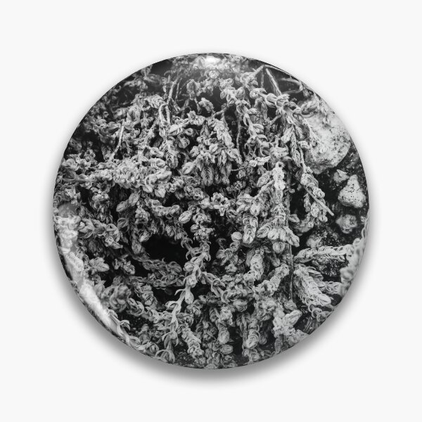 Item preview, Close-Up Of Craggy Moss And Dried Shrub On Rock Ledge In Monochrome Texture designed and sold by Nmallia.
