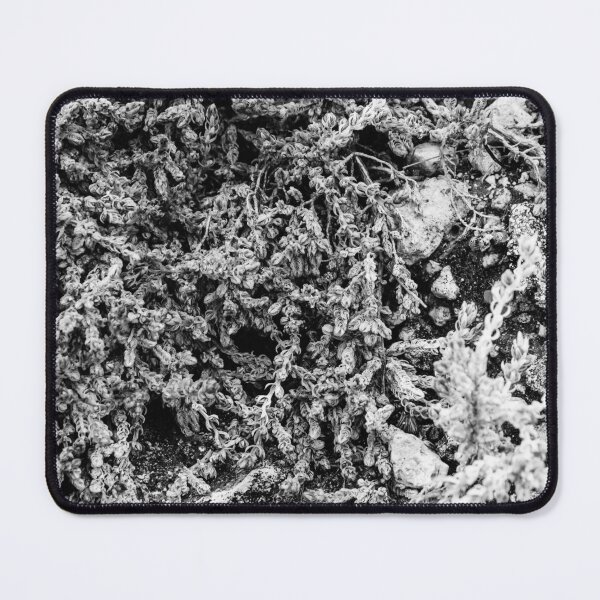 Item preview, Close-Up Of Craggy Moss And Dried Shrub On Rock Ledge In Monochrome Texture designed and sold by Nmallia.