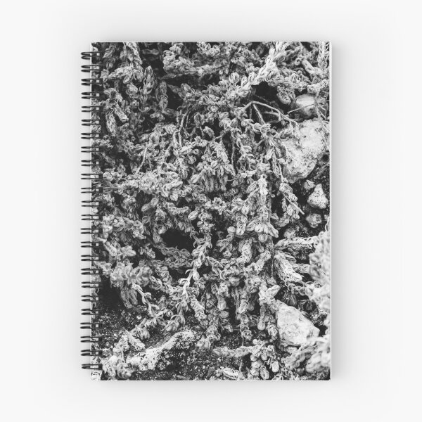 Item preview, Close-Up Of Craggy Moss And Dried Shrub On Rock Ledge In Monochrome Texture designed and sold by Nmallia.