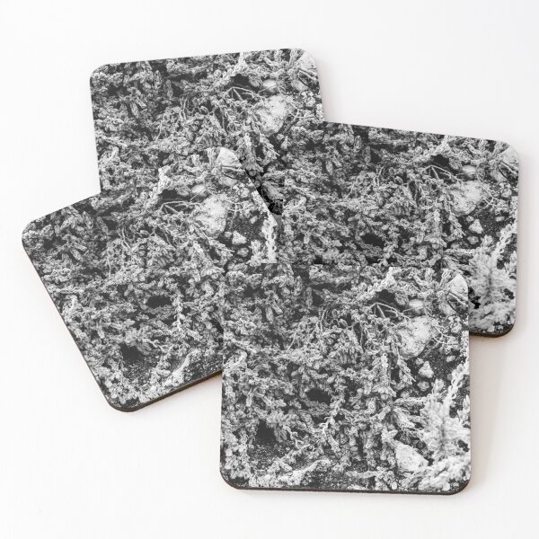 Item preview, Close-Up Of Craggy Moss And Dried Shrub On Rock Ledge In Monochrome Texture designed and sold by Nmallia.