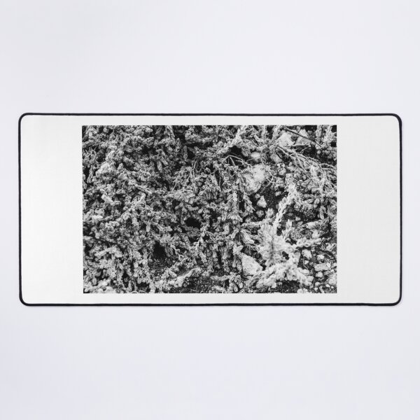 Item preview, Close-Up Of Craggy Moss And Dried Shrub On Rock Ledge In Monochrome Texture designed and sold by Nmallia.