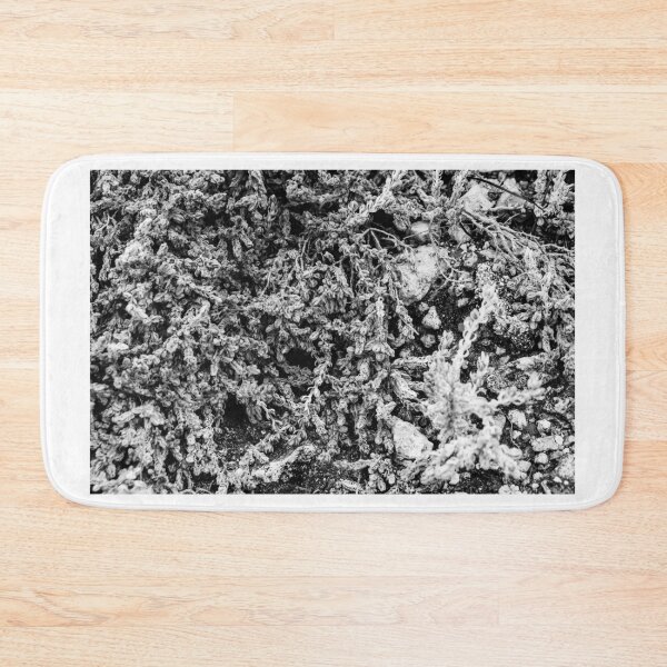 Item preview, Close-Up Of Craggy Moss And Dried Shrub On Rock Ledge In Monochrome Texture designed and sold by Nmallia.