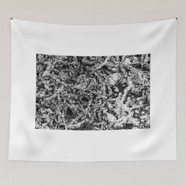 Item preview, Close-Up Of Craggy Moss And Dried Shrub On Rock Ledge In Monochrome Texture designed and sold by Nmallia.