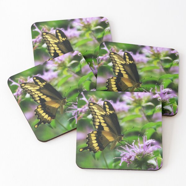 Tiger Swallowtail & Bee balm Coasters (Set of 4)