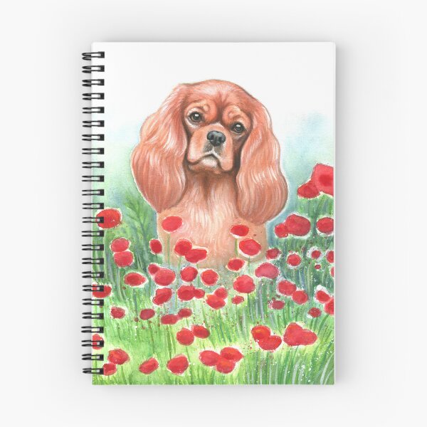 Item preview, Ruby cavalier in Red Poppies designed and sold by jollyinu.