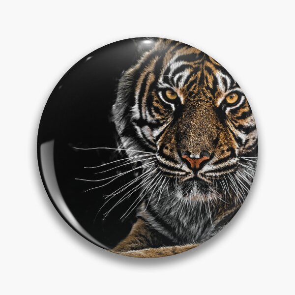 Artikelvorschau, Wunderschönes Tigerdesign entworfen und verkauft von NoxLand.