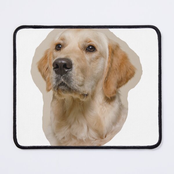 Item preview, Golden Retriever Service Dog Frannie designed and sold by PWPinc.