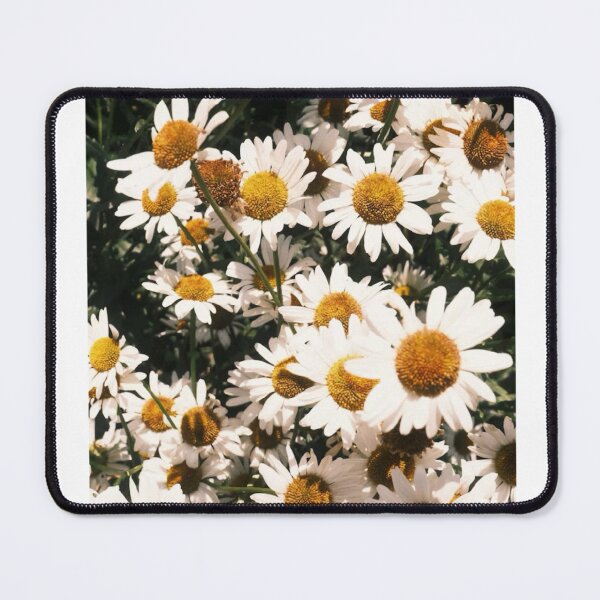 Item preview, Field Of Daisies Close Up Photographic Print designed and sold by Mother-Nature65.